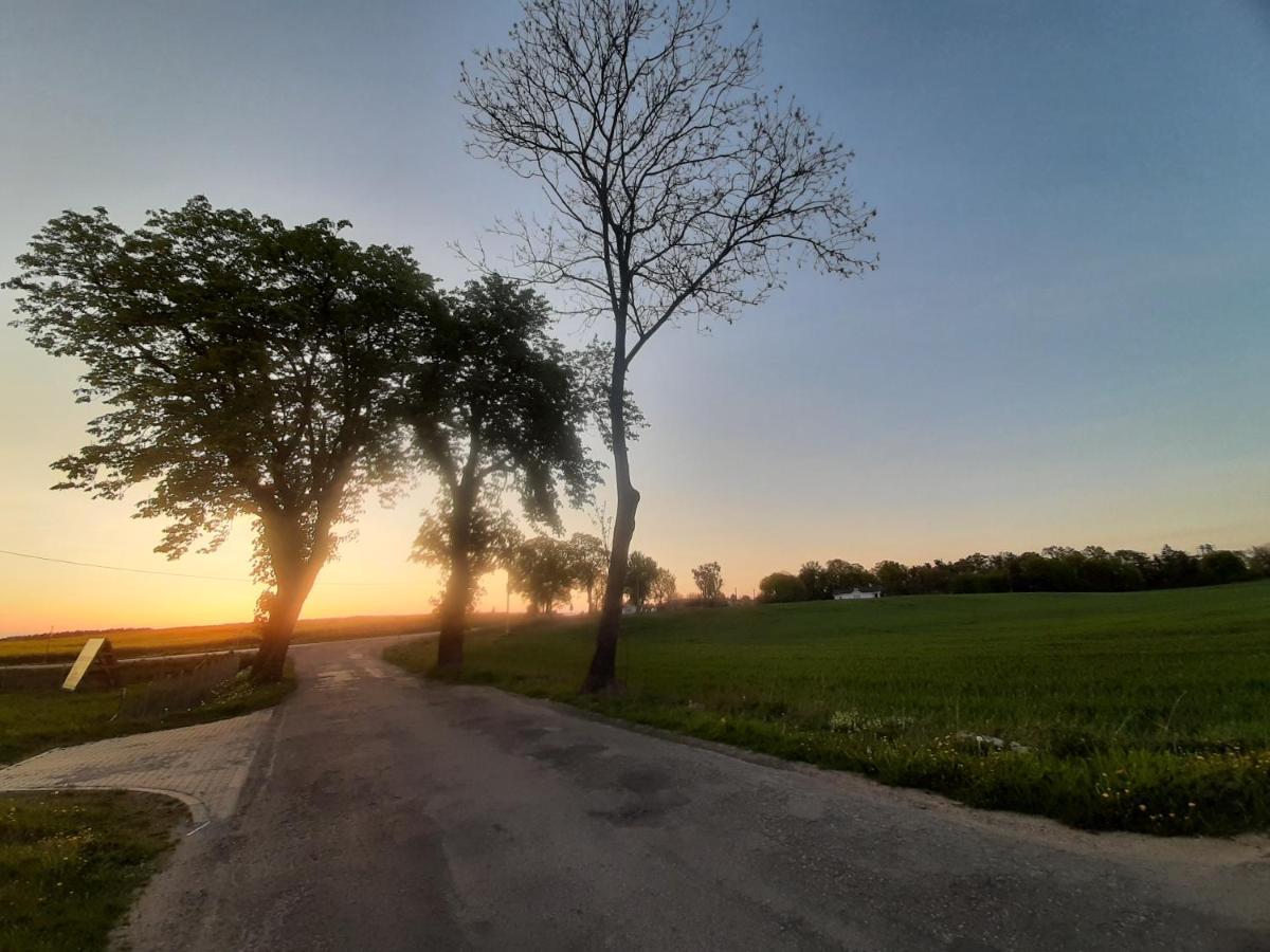 Noclegi Zdzislaw Sieradzki Zbiczno المظهر الخارجي الصورة