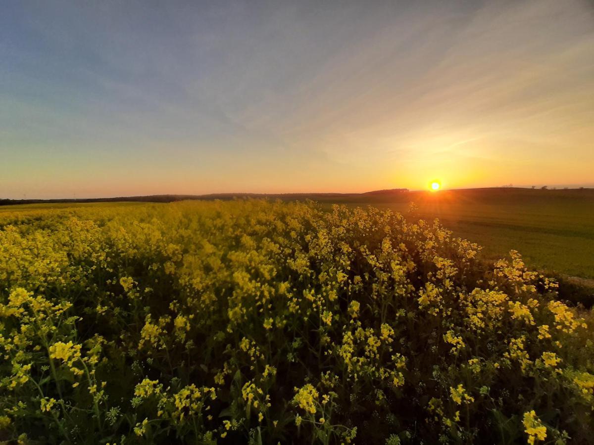 Noclegi Zdzislaw Sieradzki Zbiczno المظهر الخارجي الصورة